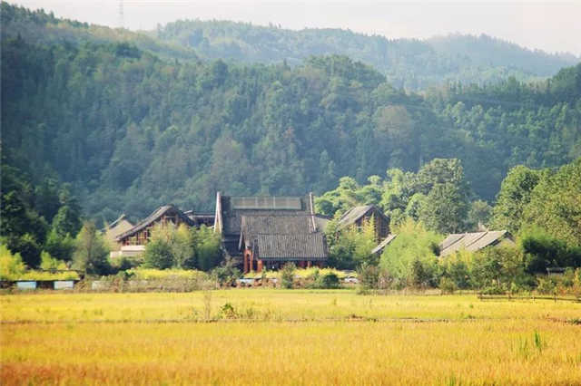柏聯酒店